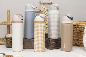 Owala - Pleco Houseware
