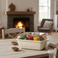 DailyFresh Clear‑Lid Storage Box