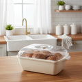 DailyFresh Clear-Lid Storage Box – Limon - Pleco Houseware