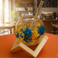 Double Wall Glass Cups with Stand - Pleco Houseware