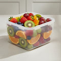UltraGuard Airtight Storage Box - Pleco Houseware