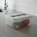 UltraGuard Airtight Storage Box - Pleco Houseware