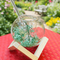 Double Wall Glass Cups with Stand - Pleco Houseware
