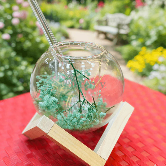 Double Wall Glass Cups with Stand