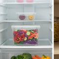 UltraGuard Airtight Storage Box - Pleco Houseware