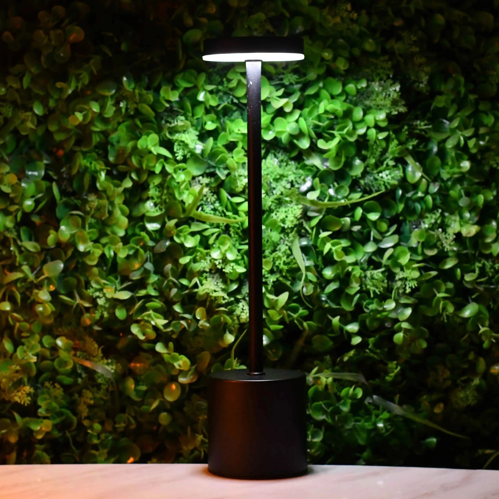 Rechargeable Metal Desk Lamp - Pleco Houseware