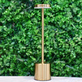 Rechargeable Metal Desk Lamp - Pleco Houseware