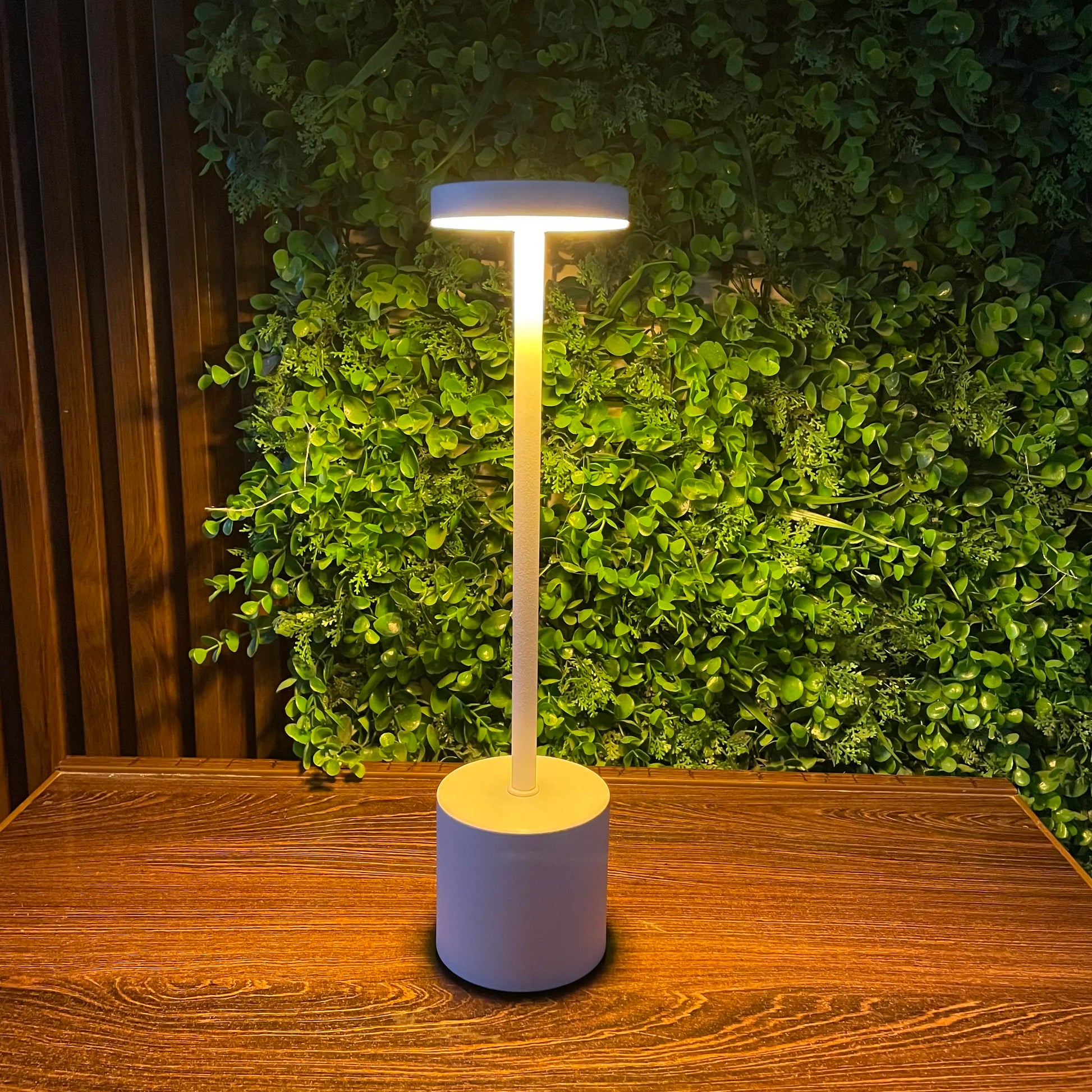 Rechargeable Metal Desk Lamp - Pleco Houseware