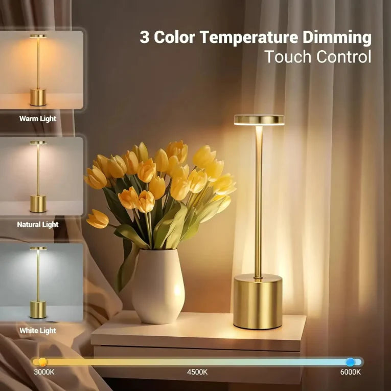 Rechargeable Metal Desk Lamp - Pleco Houseware