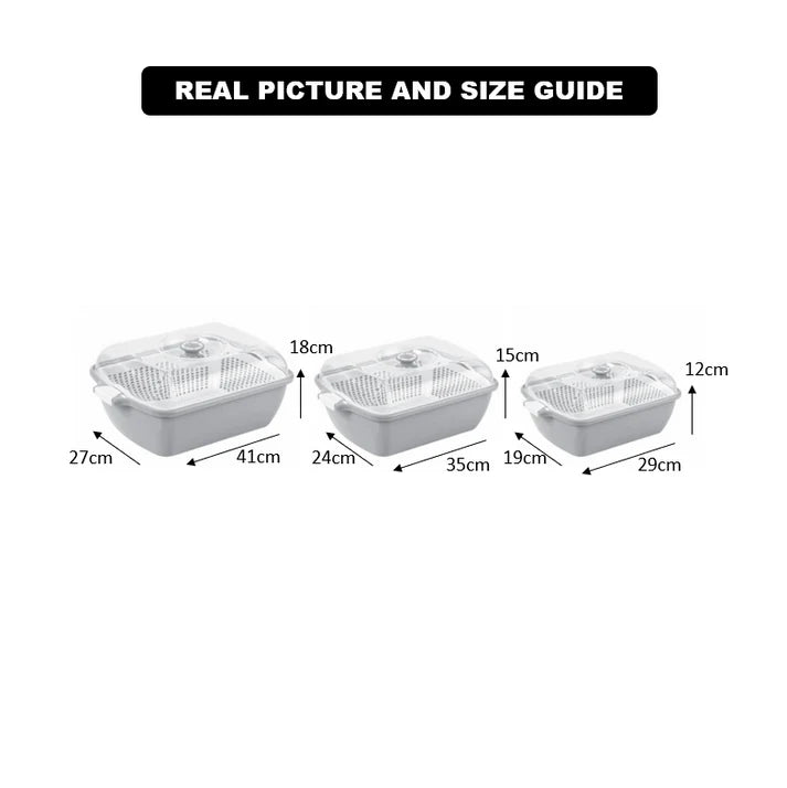 DailyFresh Clear-Lid Storage Box – Limon - Pleco Houseware