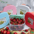 Food Storage Container Pack of 3 | Stackable BPA - Free Plastic Airtight Crisper Multipurpose Organizer Boxes - Pleco Houseware
