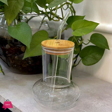 Modern Glass Tumbler – New Design - Pleco Houseware