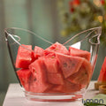 SmartServe Clear Acrylic Bowl with Handles - Pleco Houseware