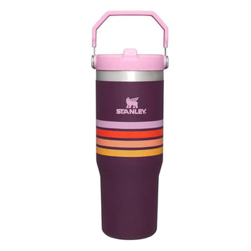 The IceFlow™ Flip Straw Tumbler | 30 OZ - Plum Stripe